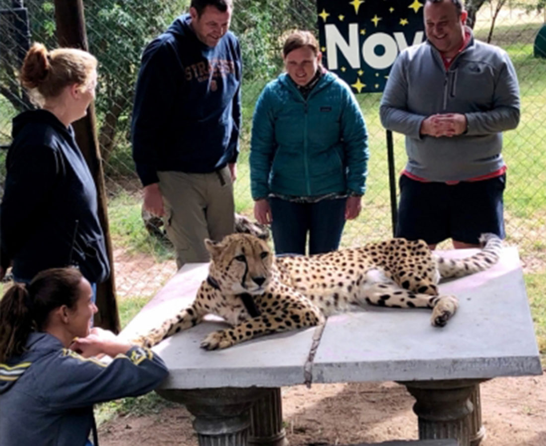 African Safari - Predator Park