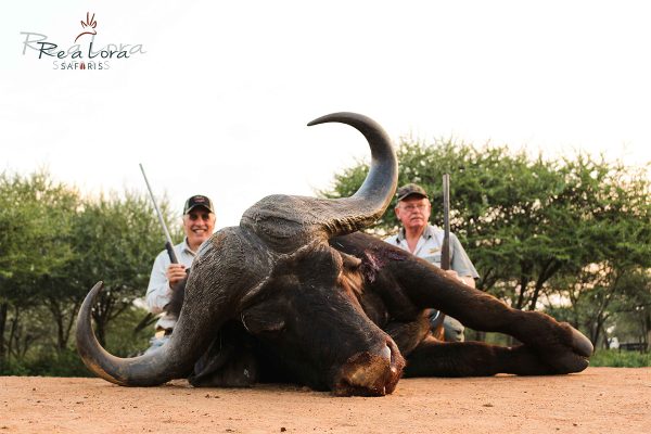 Cape-Buffalo-Hunt-South-Africa