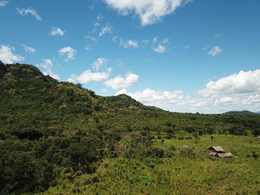 mozambique gallery