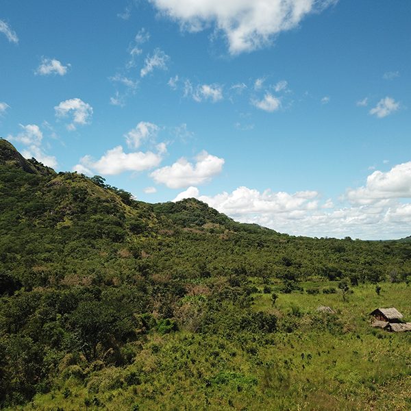 mozambique gallery