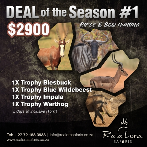 Deal of the Season #1