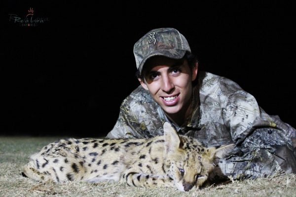 Serval Hunt South Africa