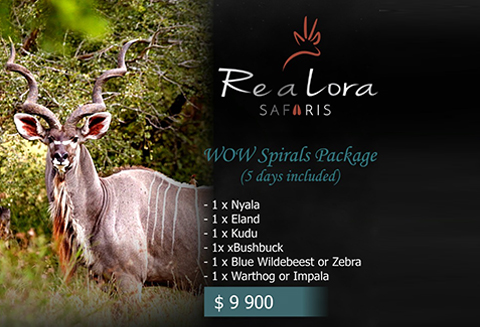 Wow Spirals Special