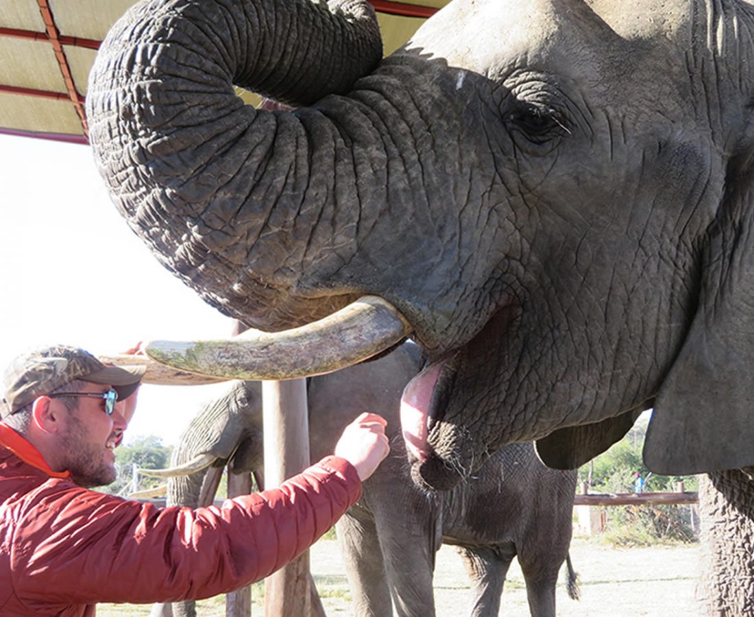 realora-elephantadventures
