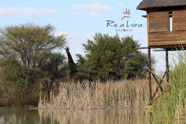 African Hunting Safari